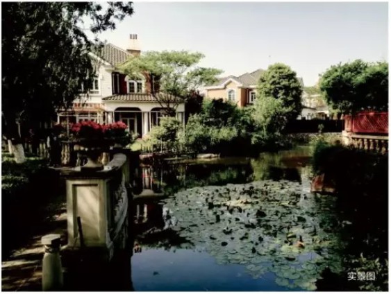 清渠行动 | 夏季里蜿蜒出一片清冷 